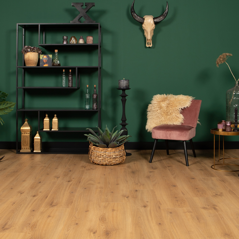 DD Brede plank Peterselie - 24,3 cm, 2V