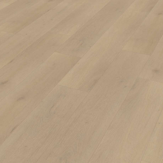 Belakos Palazzo 770 | Rigid Click