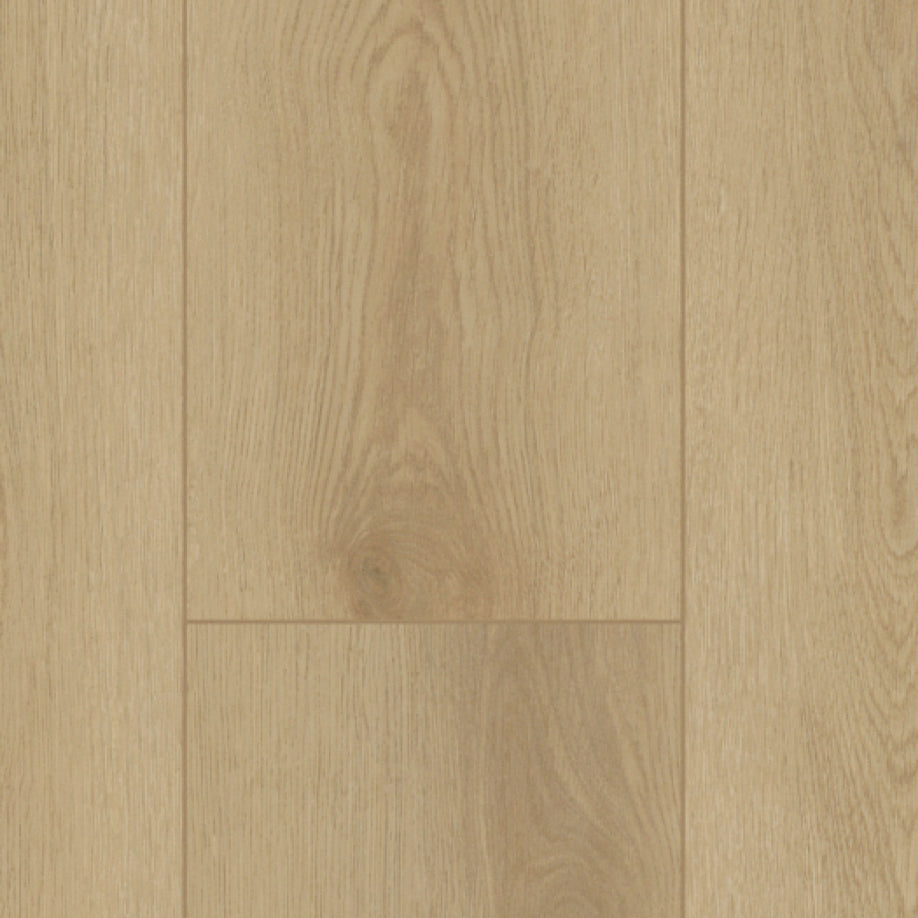 Gelasta Firmfit Silent 7500 (rigid click) Sierra Light