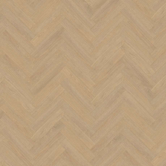 Belakos Terreno visgraat XL 61 | Rigid Click