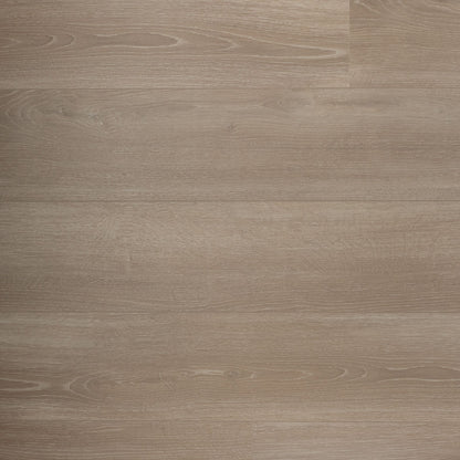 DD Brede plank Rozemarijn - 24,3 cm, 2V