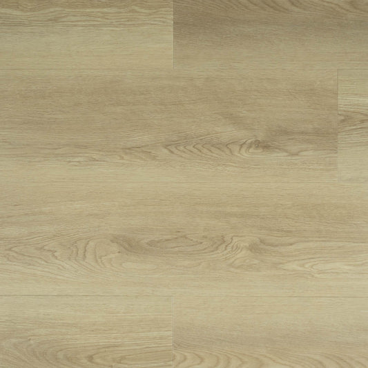 SENSE 960 P DB 121,9x22,8 cm