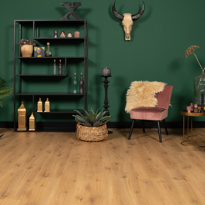 DD Brede plank Peterselie - 24,3 cm, 2V