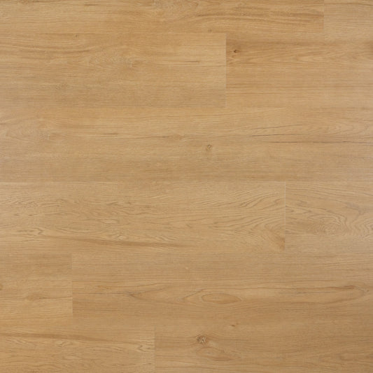 OTIUM Hammam Plank Dryback