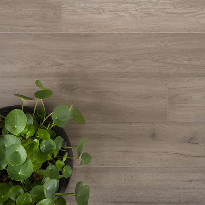 DD solide plank marjolein - 19,2 cm, PB 4V