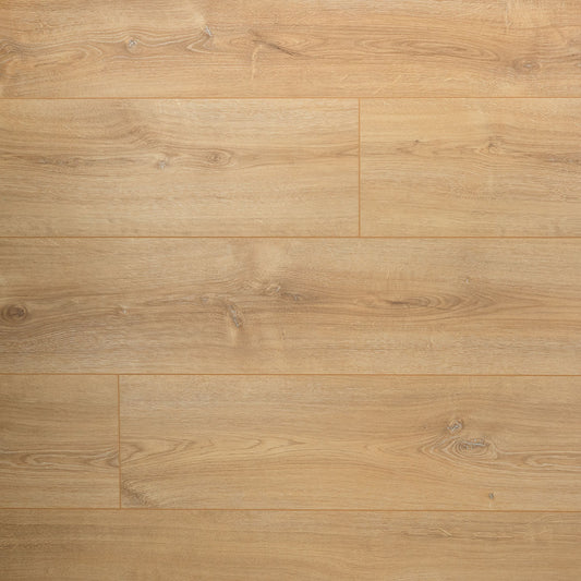 DD Extra lange plank Basilicum - 24,3 cm, 4V
