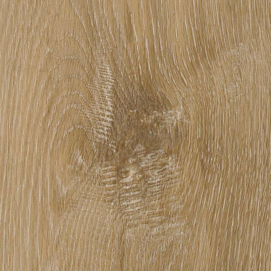 Belakos Attico visgraat XL 80