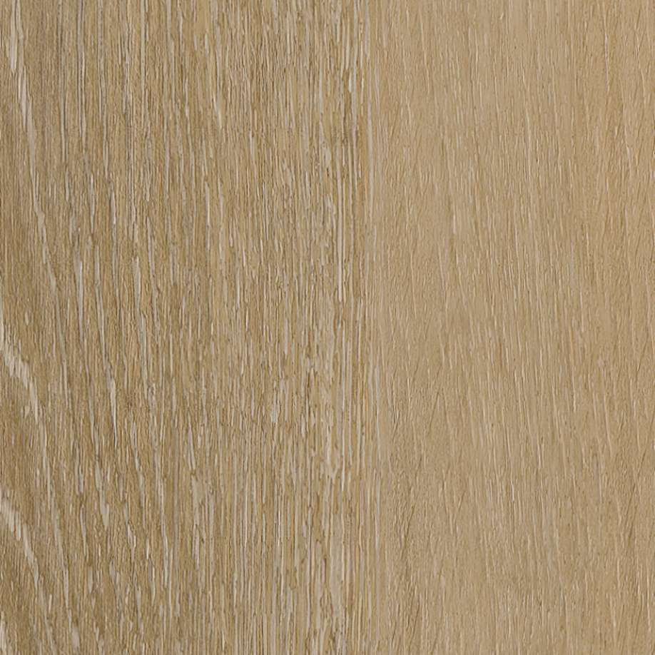 Belakos Attico visgraat XL 80