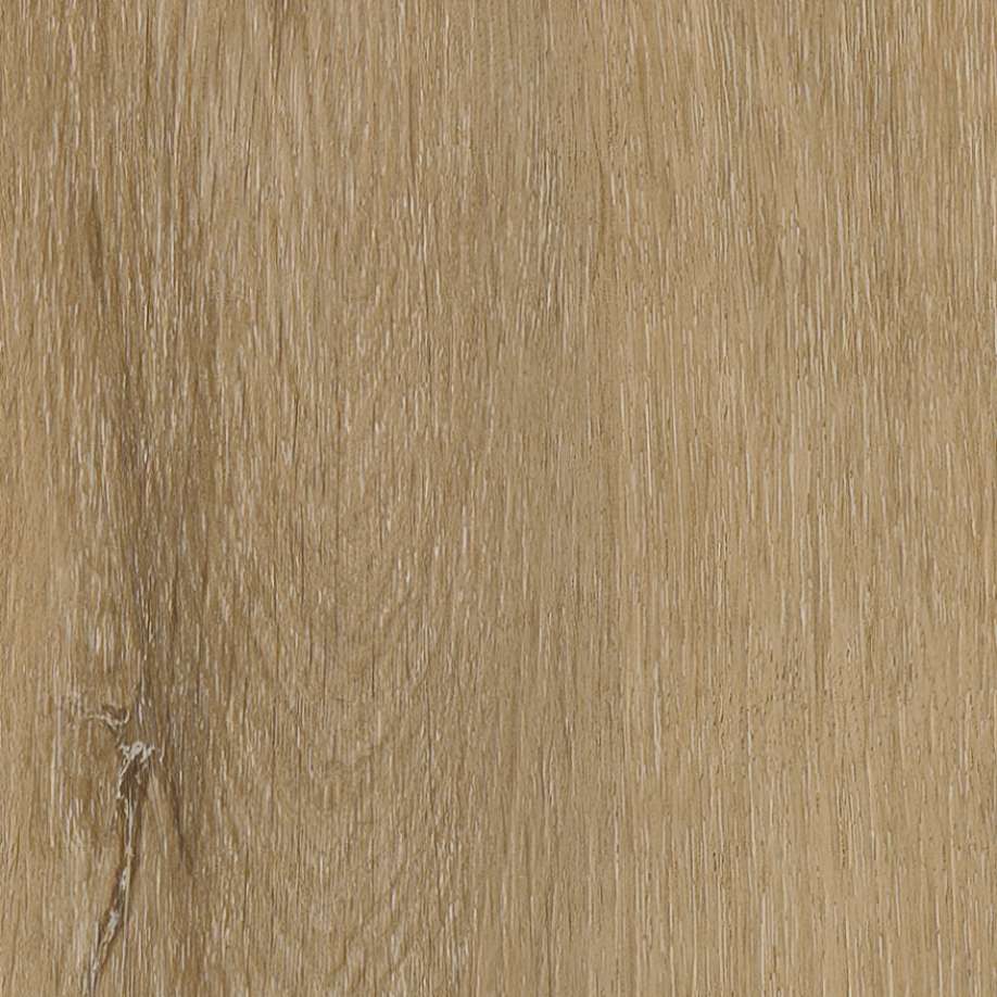 Belakos Attico visgraat XL 80