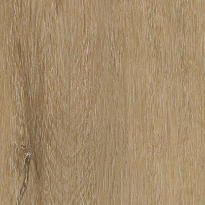 Belakos Attico visgraat XL 80