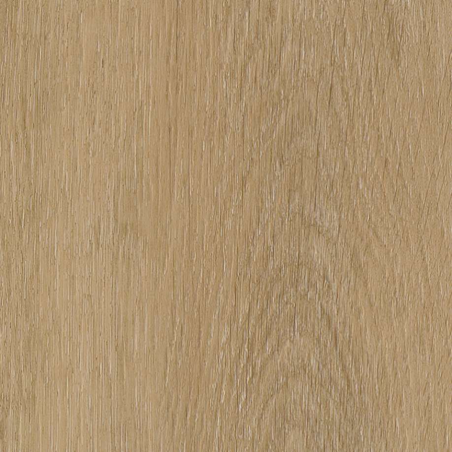 Belakos Attico visgraat XL 80