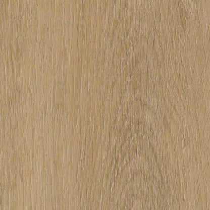 Belakos Attico visgraat XL 80