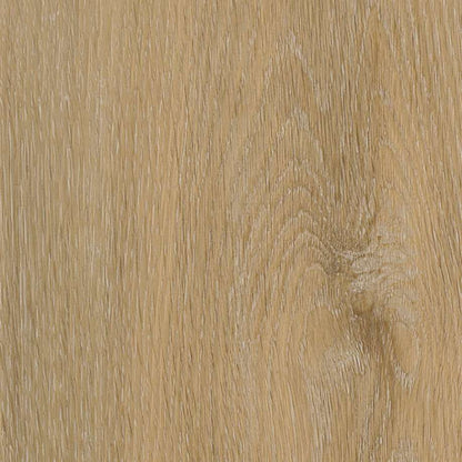 Belakos Attico visgraat XL 80