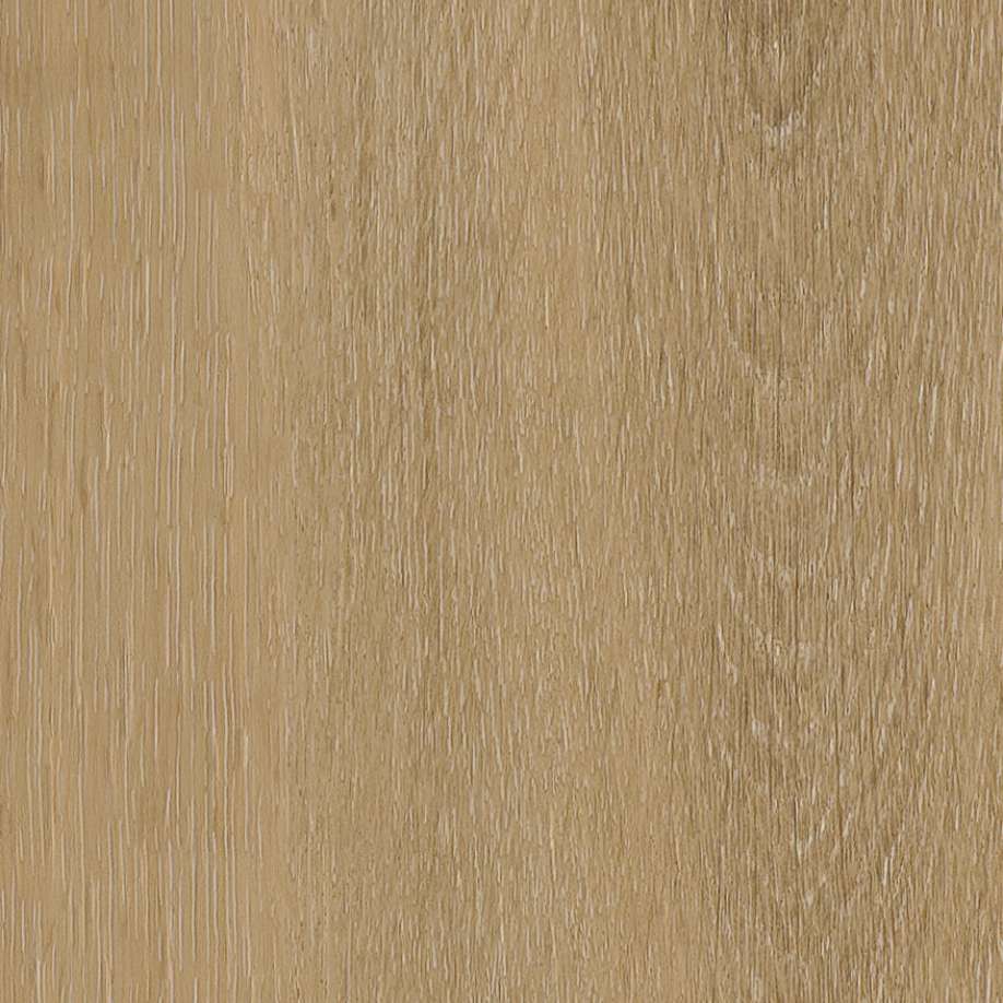 Belakos Attico visgraat XL 80