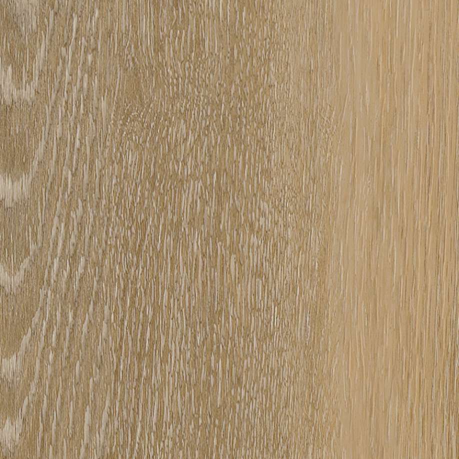 Belakos Attico visgraat XL 80