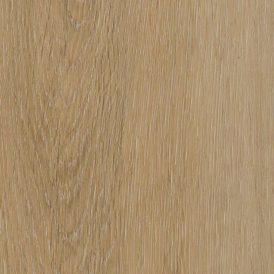 Belakos Attico visgraat XL 80