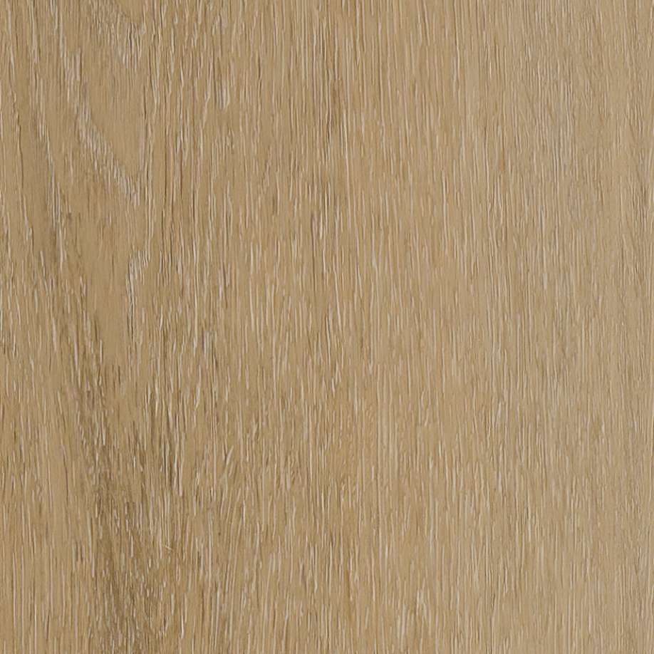 Belakos Attico visgraat XL 80