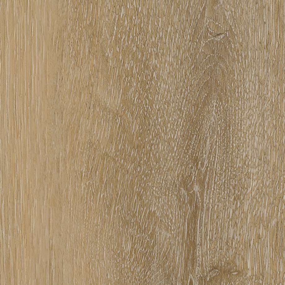 Belakos Attico visgraat XL 80