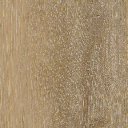 Belakos Attico visgraat XL 80