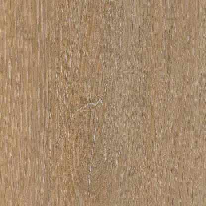 Belakos Attico visgraat XL 81