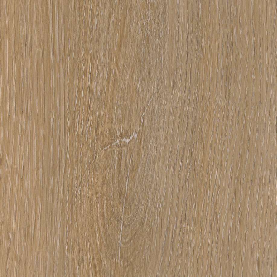 Belakos Attico visgraat XL 81 | Rigid Click