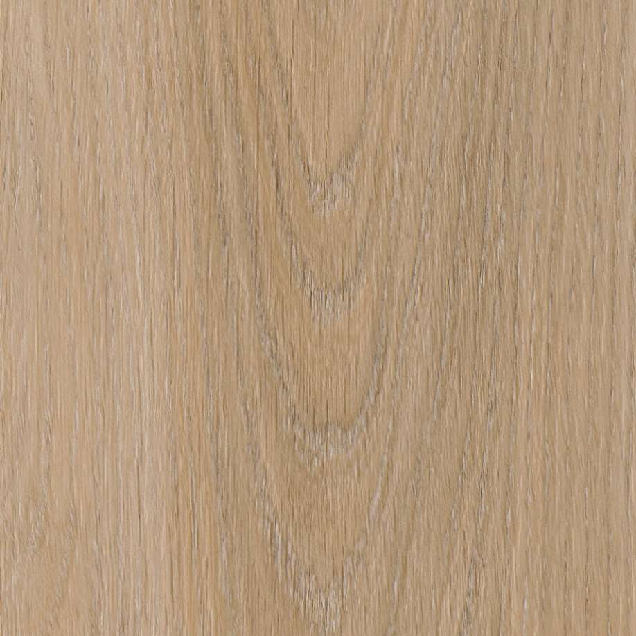 Belakos Attico visgraat XL 81 | Rigid Click