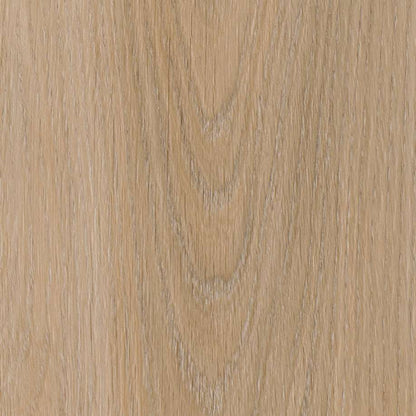 Belakos Attico visgraat XL 81 | Rigid Click