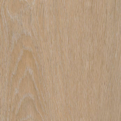 Belakos Attico visgraat XL 81