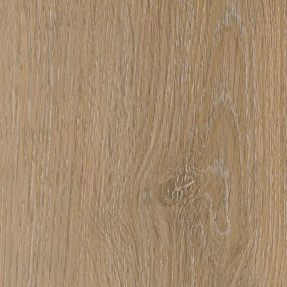 Belakos Attico visgraat XL 81 | Rigid Click