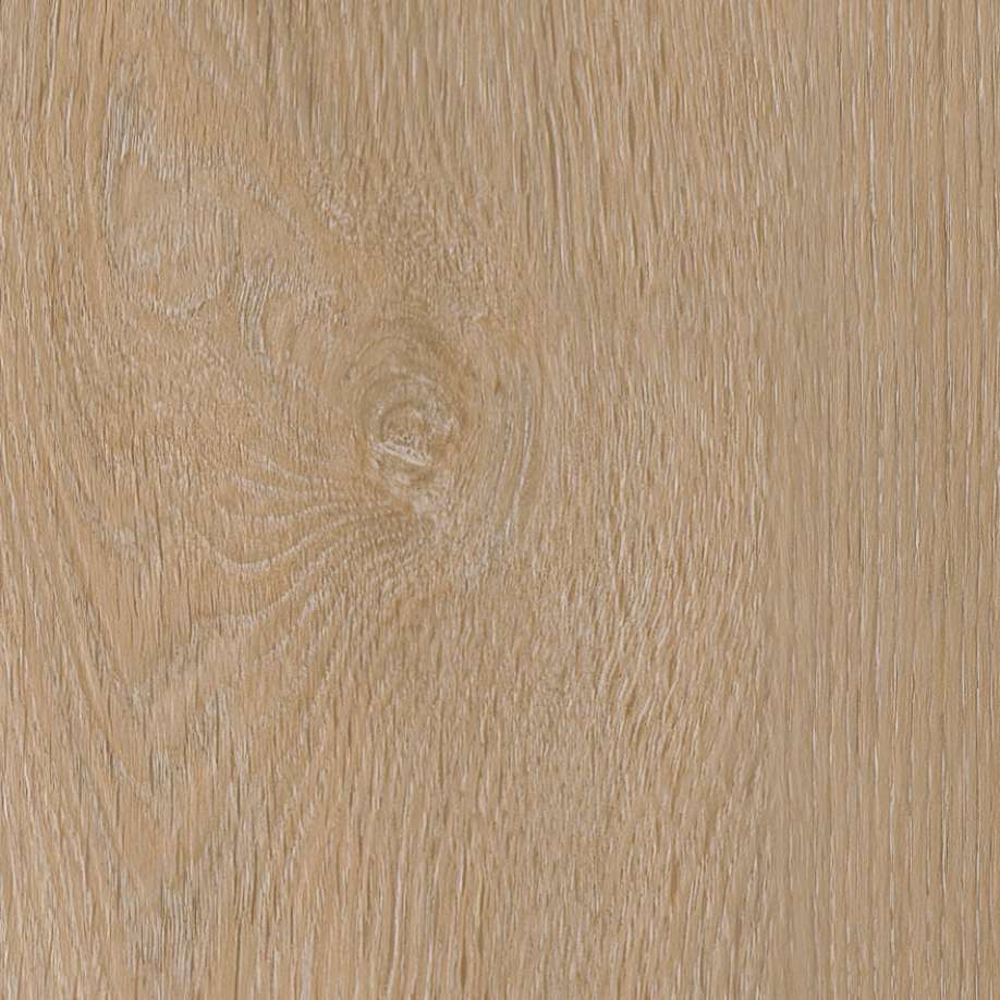 Belakos Attico visgraat XL 81 | Rigid Click