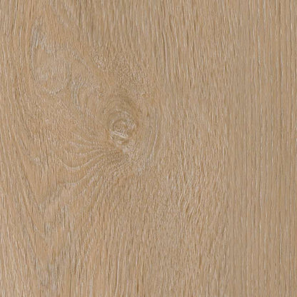 Belakos Attico visgraat XL 81 | Rigid Click