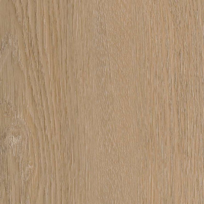 Belakos Attico visgraat XL 81