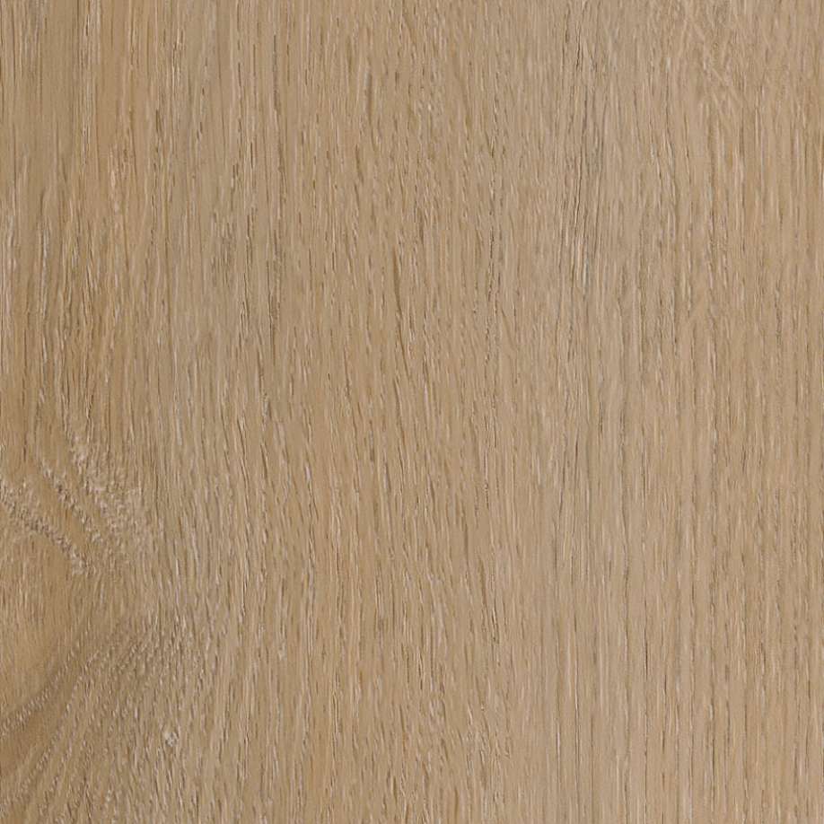 Belakos Attico visgraat XL 81