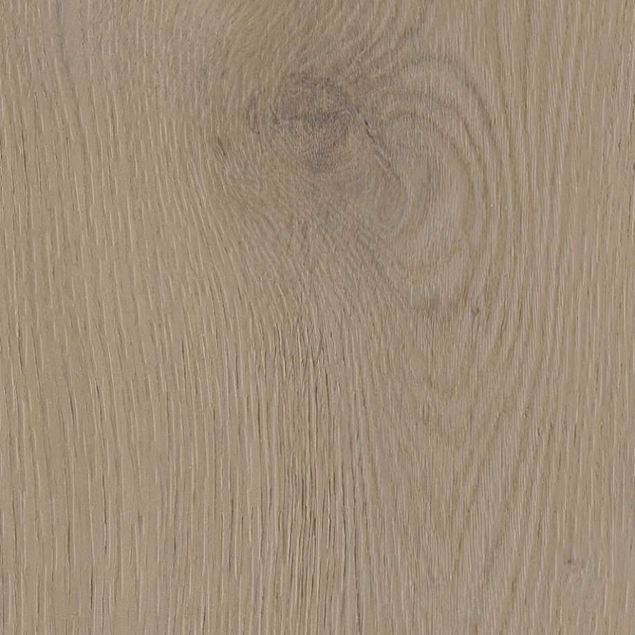 Belakos Attico visgraat XL 82