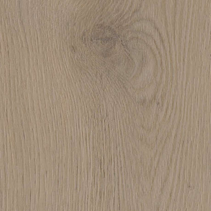 Belakos Attico visgraat XL 82