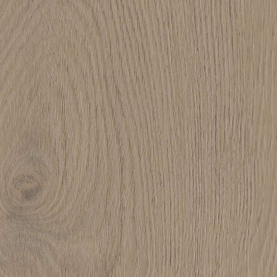 Belakos Attico visgraat XL 82