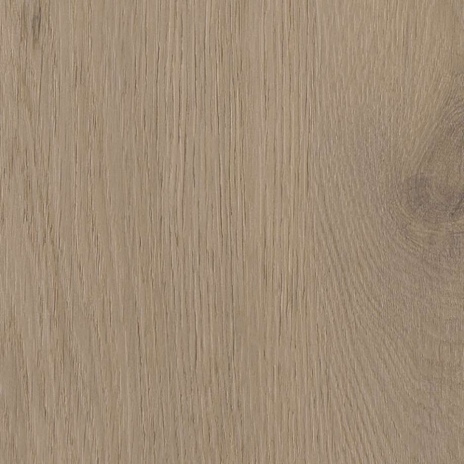 Belakos Attico visgraat XL 82