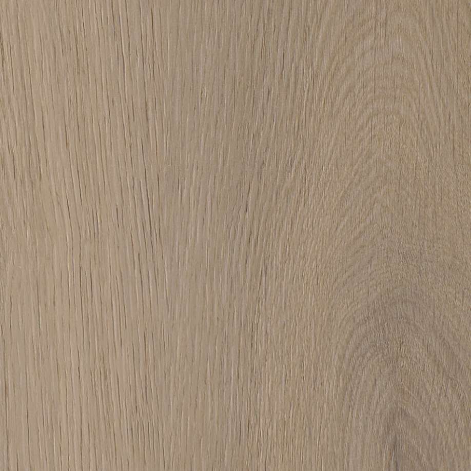 Belakos Attico visgraat XL 82