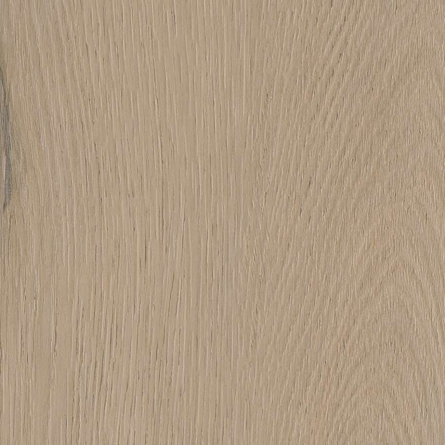 Belakos Attico visgraat XL 83 | Rigid Click