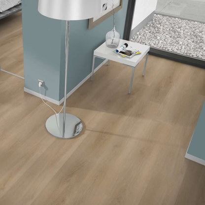 Belakos Attico 810