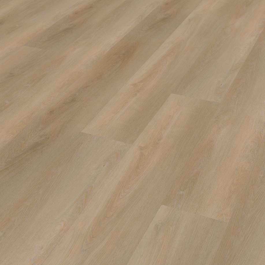 Belakos Attico 810 | Rigid Click