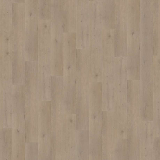 Belakos Attico 830 | Rigid Click