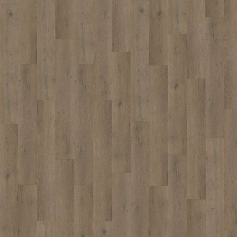 Belakos Attico 840 | Rigid Click