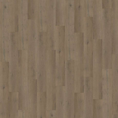 Belakos Attico 840 | Rigid Click
