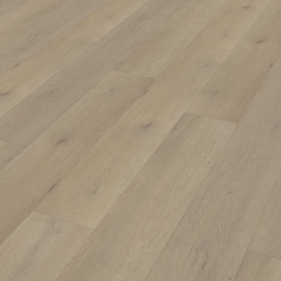 Belakos Attico 850 | Rigid Click