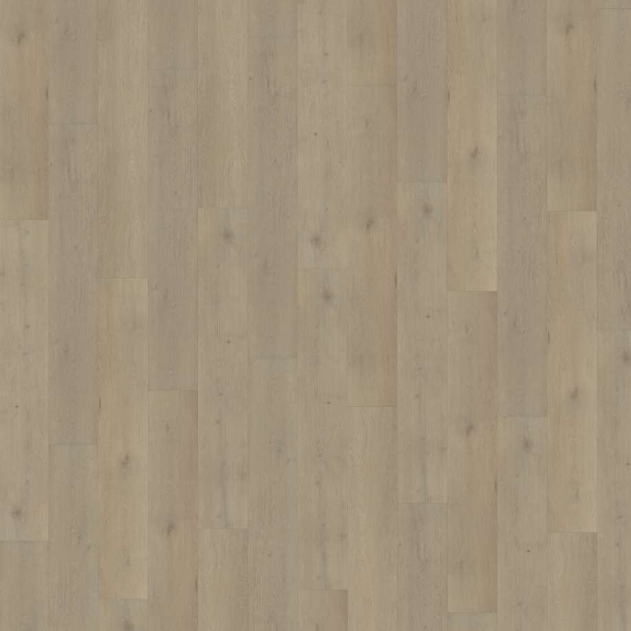 Belakos Attico 850 | Rigid Click