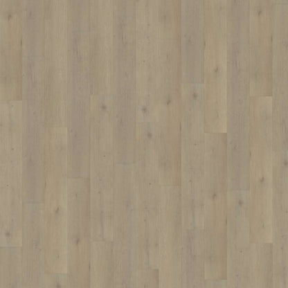 Belakos Attico 850 | Rigid Click