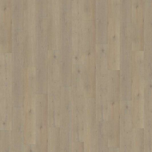 Belakos Attico 850 | Rigid Click