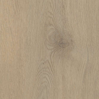 Belakos Attico 860 | Rigid Click