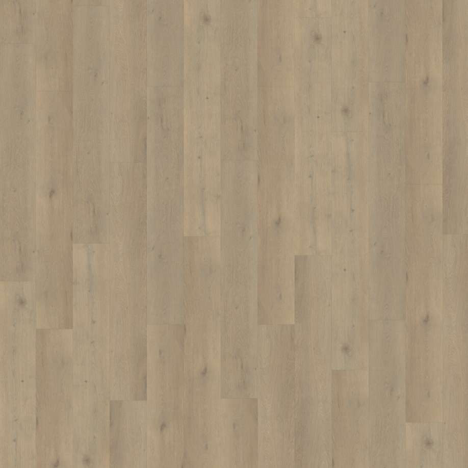 Belakos Attico 860 | Rigid Click